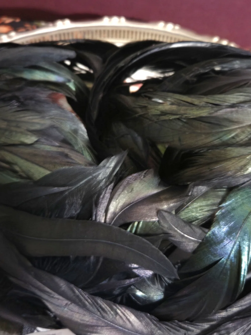 Black Feather Raven Masquerade Mask Set/2 NEW